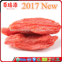 goji orgânico goji bagas de exportação de bagas de Ningxia